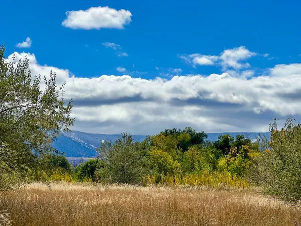 $199,900 | 48989 Gaia Drive, Mesa, CO 81643