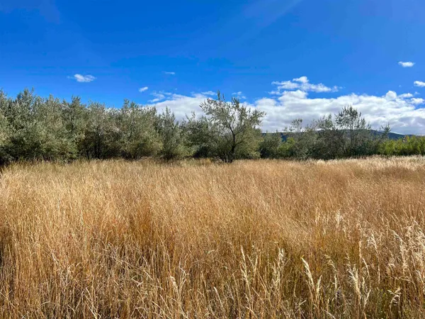 $199,900 | 48989 Gaia Drive, Mesa, CO 81643