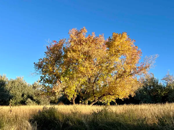 $199,900 | 48989 Gaia Drive, Mesa, CO 81643