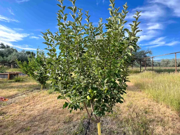$199,900 | 48989 Gaia Drive, Mesa, CO 81643