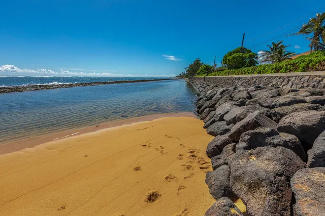 a view of a lake with a mountain in the background