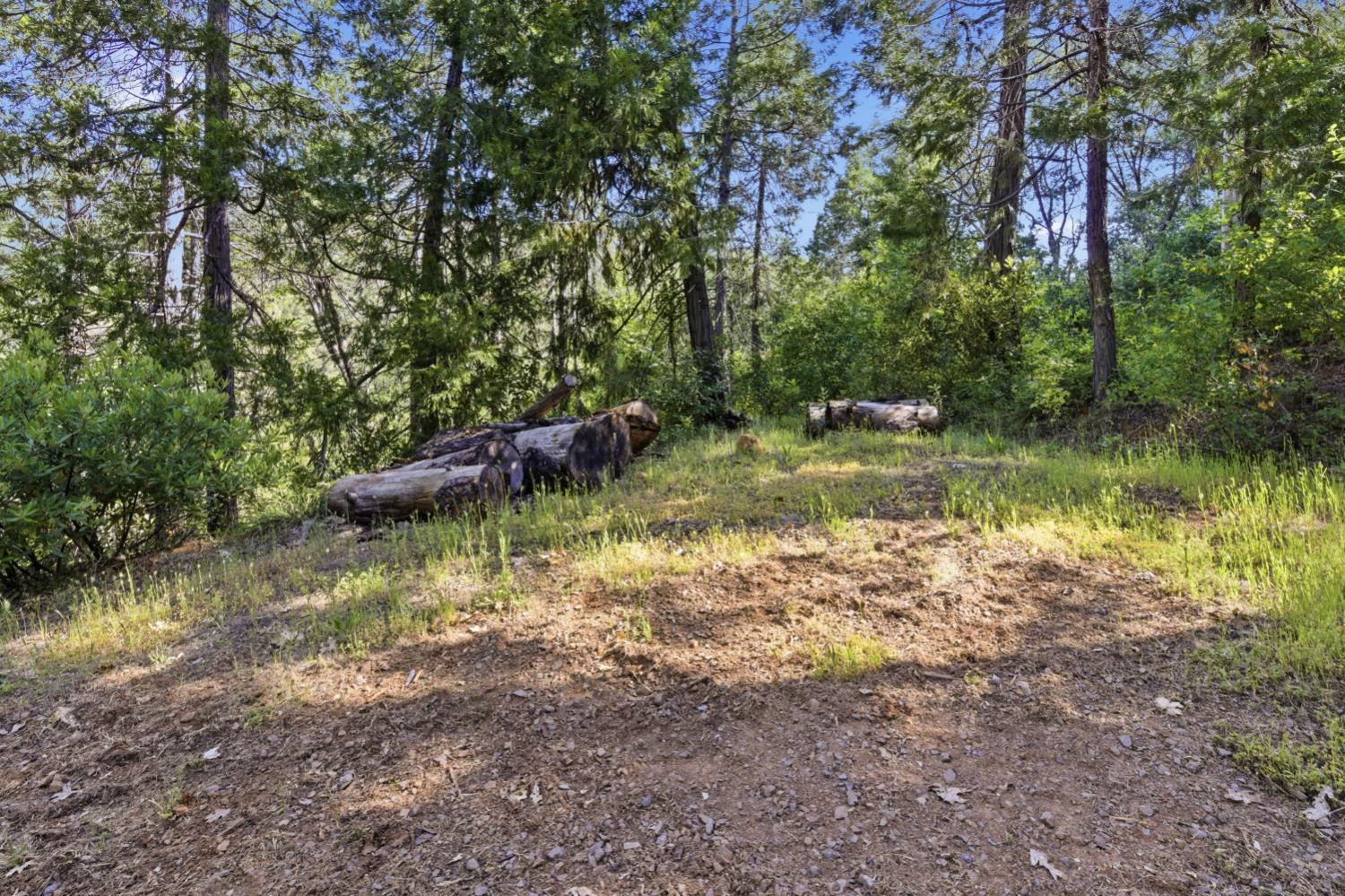 16429 Vierra Road Rackerby, CA 95972 - Photo 4 of 18