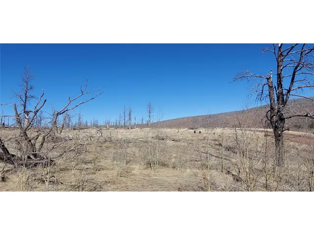 a view of wooden floor with a dry yard