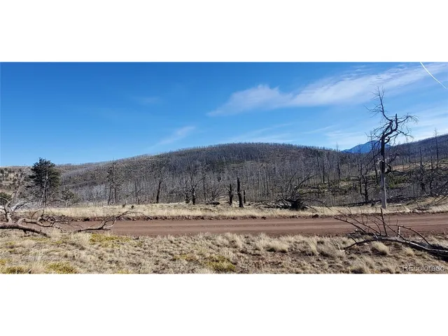 a view of a dry yard with wooden fence