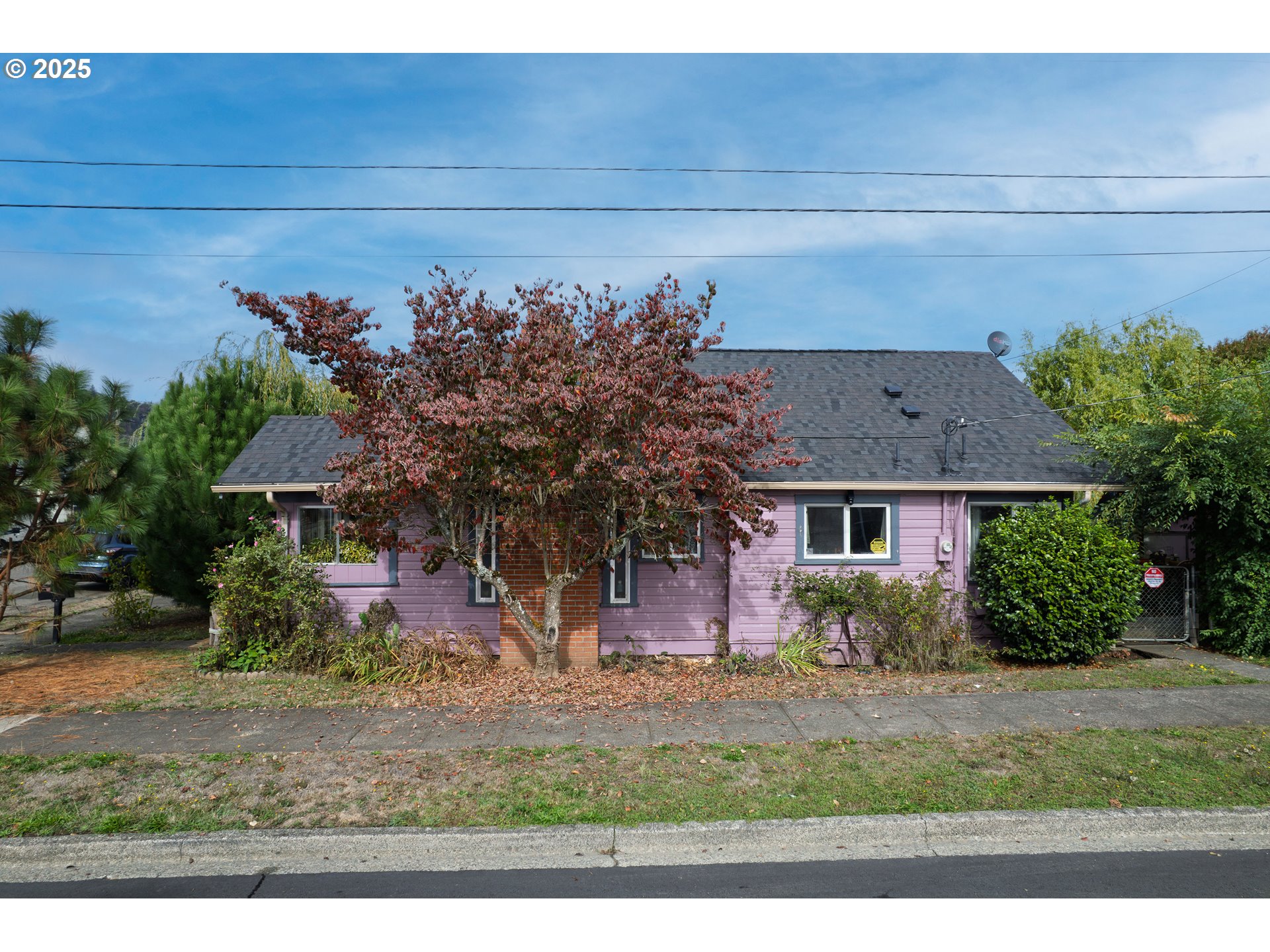 655 6th Street Myrtle Point, OR 97458 - Photo 30 of 31 a front view of a house with garden