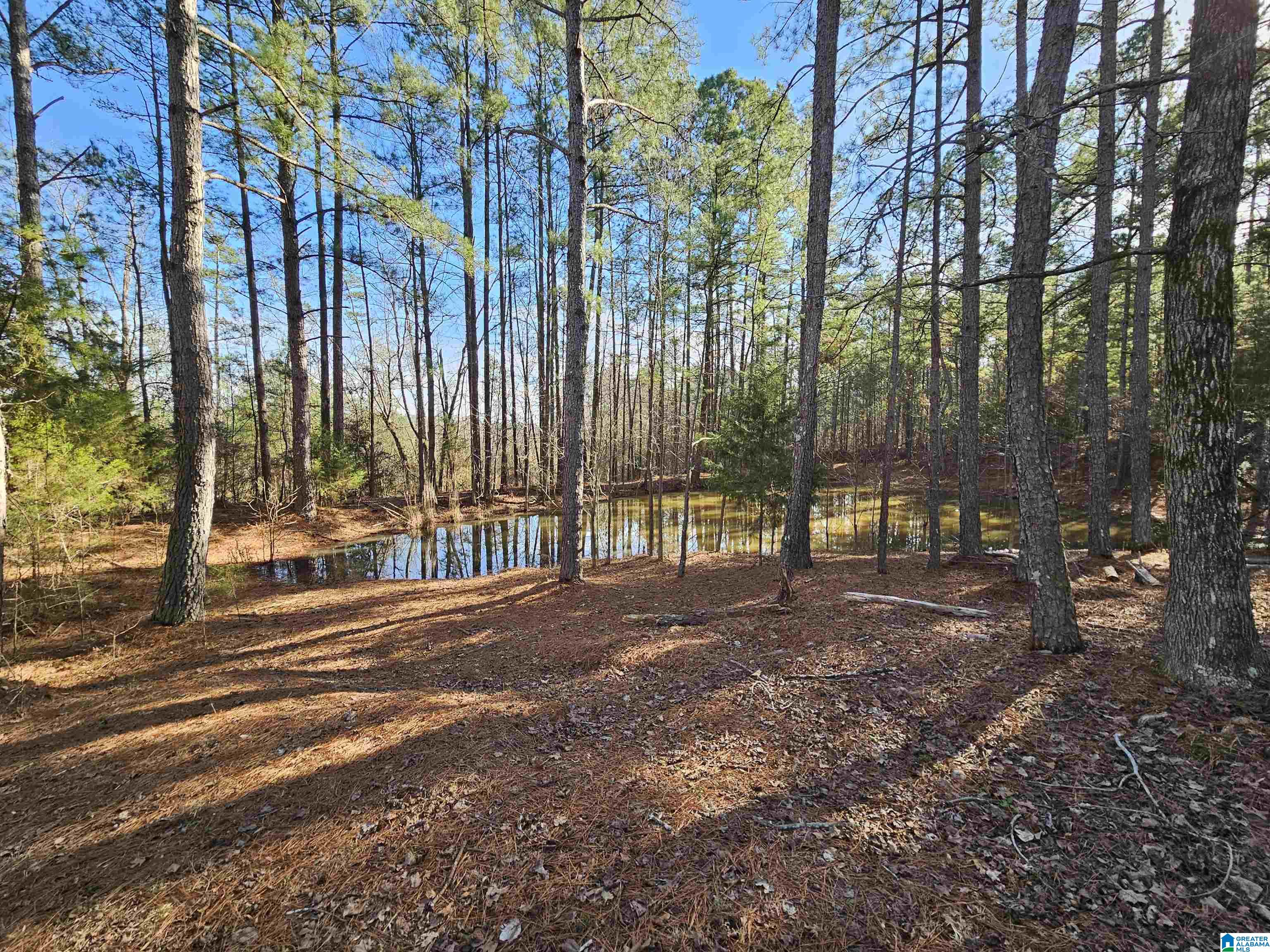 695 Briar Ridge Circle Odenville, AL 35120 - Photo 3 of 27