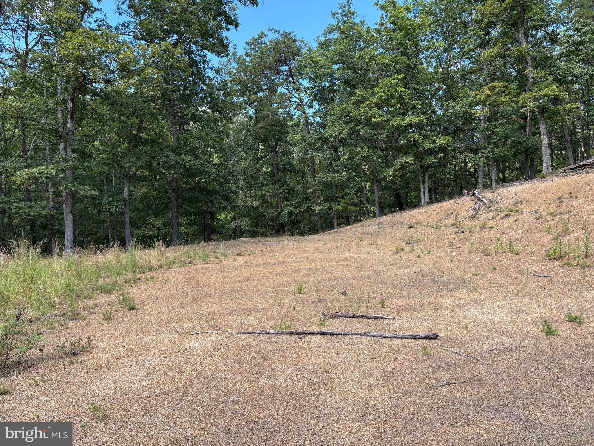20.32-ac Trough Road Moorefield, WV 26836 - Photo 13 of 19 Gallery Image 13