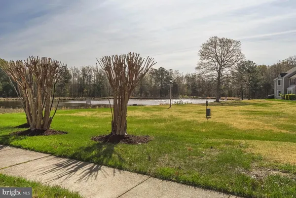 a view of a park with large trees