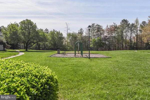 a view of a park with a tree in the background