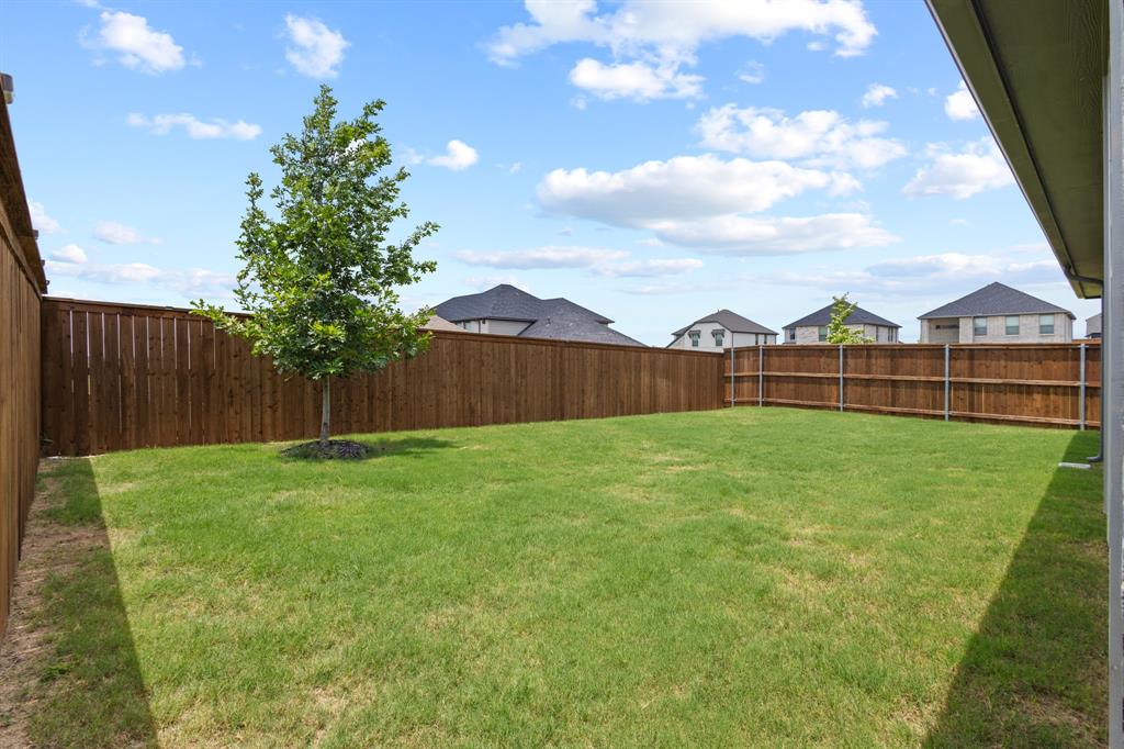 2108 Mossfield Lane Forney, TX 75126 - Photo 13 of 28 Expansive backyard featuring a manicured lawn, a young deciduous tree, and perimeter wood fencing