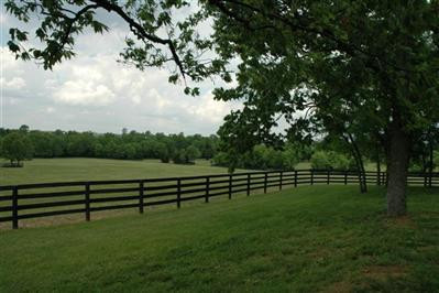 0 Kidds Mill Road Versailles, KY 40383 - Photo 15 of 29 Photo 15