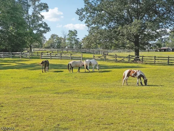 an aerial view of a swimming pool