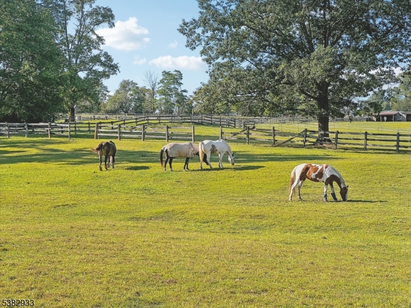 60 Perryville Road Pittstown, NJ 08867 - Photo 43 of 50 a view of a swimming pool with a lake