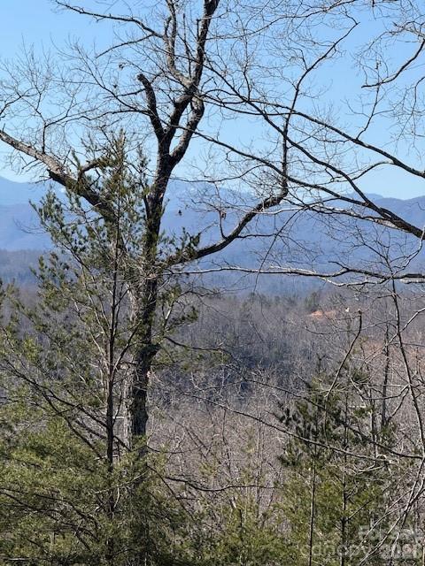 0 Dobsons Knob Loop Road Marion, NC 28752 - Photo 1 of 6