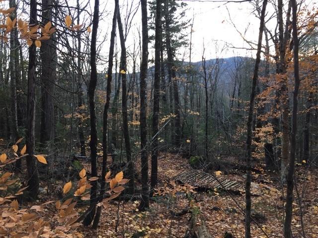 2010 Birch Trail Road Kingfield, ME 04947 - Photo 3 of 5 Lot 153 view