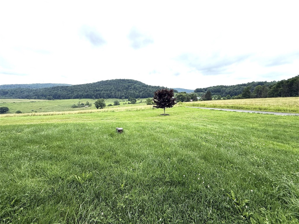 170 McAllister Road Windsor, NY 13865 - Photo 47 of 49