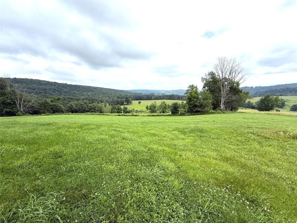 170 McAllister Road Windsor, NY 13865 - Photo 48 of 49