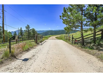 a view of a park with large trees