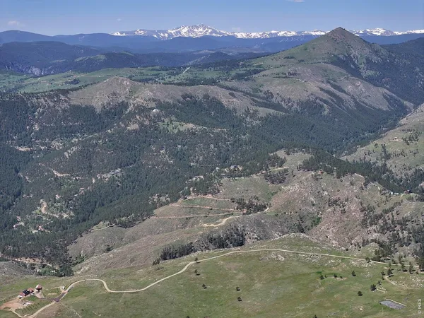 a view of a park with tree s