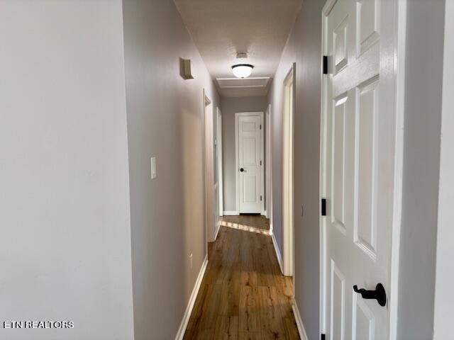 312 Oran Road Knoxville, TN 37934 - Photo 14 of 43 Gallery Image 14