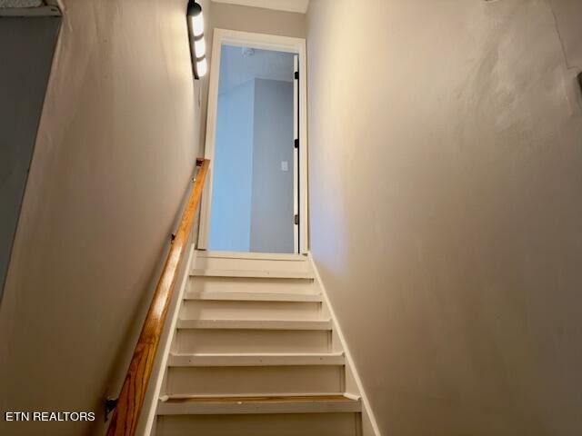 312 Oran Road Knoxville, TN 37934 - Photo 31 of 43 Gallery Image 31
