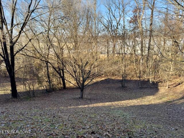 312 Oran Road Knoxville, TN 37934 - Photo 39 of 43 Gallery Image 39