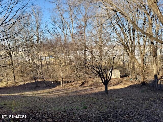 312 Oran Road Knoxville, TN 37934 - Photo 40 of 43 Gallery Image 40