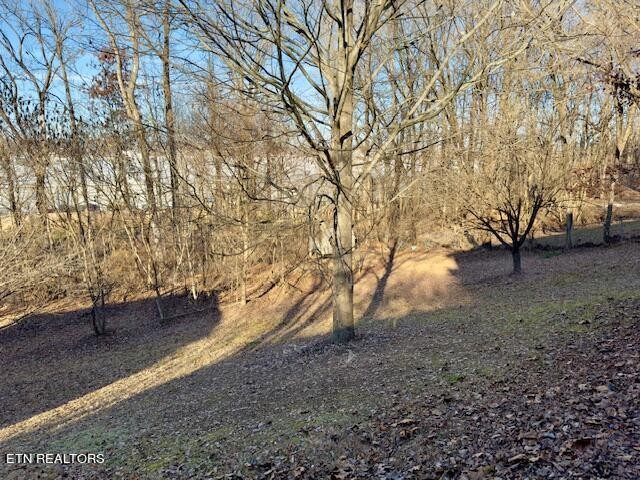 312 Oran Road Knoxville, TN 37934 - Photo 41 of 43 Gallery Image 41