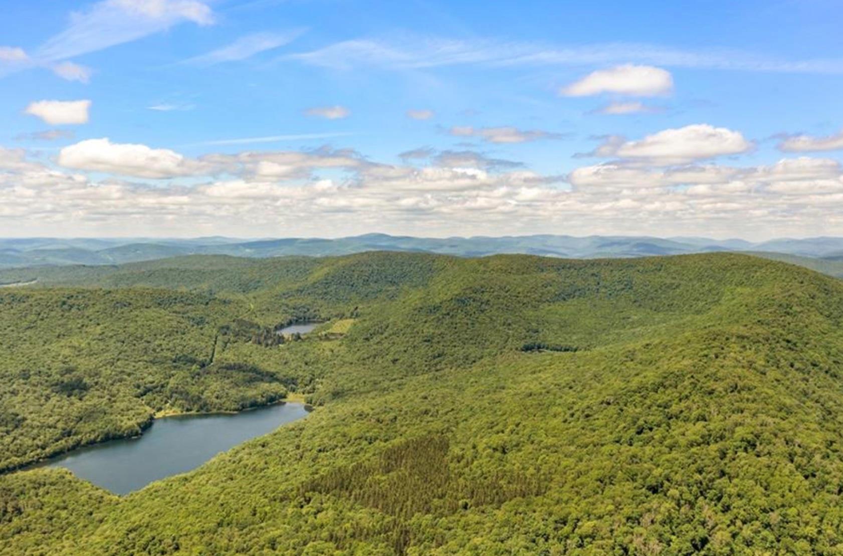 2018 Beaverkill Road Livingston Manor, NY 12758 - Photo 22 of 30 Drone / aerial view of a forest and a water and mountain view
