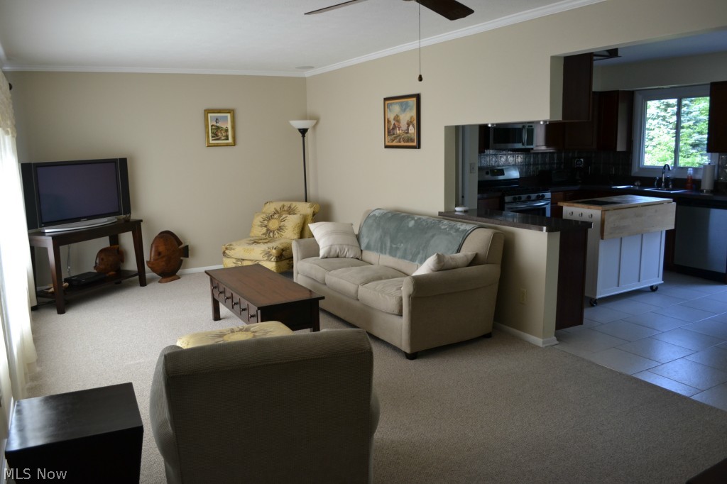 12243 Webster Road Strongsville, OH 44136 - Photo 3 of 19 Gallery Image 3