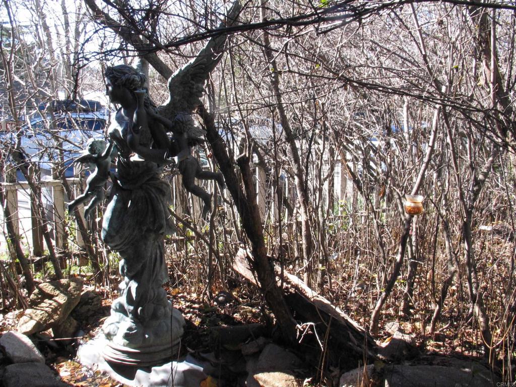 2102 3rd Street Julian, CA 92036 - Photo 14 of 20 a view of tree