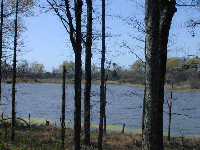 2 Billy Bryant Road Collierville, TN 38017 - Photo 5 of 5 Gallery Image 5