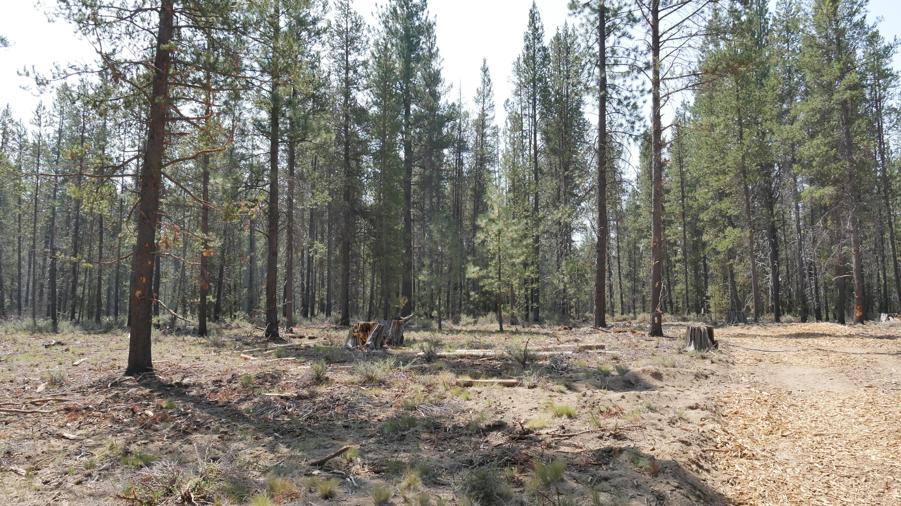 Lot 373 Mirror Rock Loop Bend, OR 97707 - Photo 5 of 27 4 - 373 back