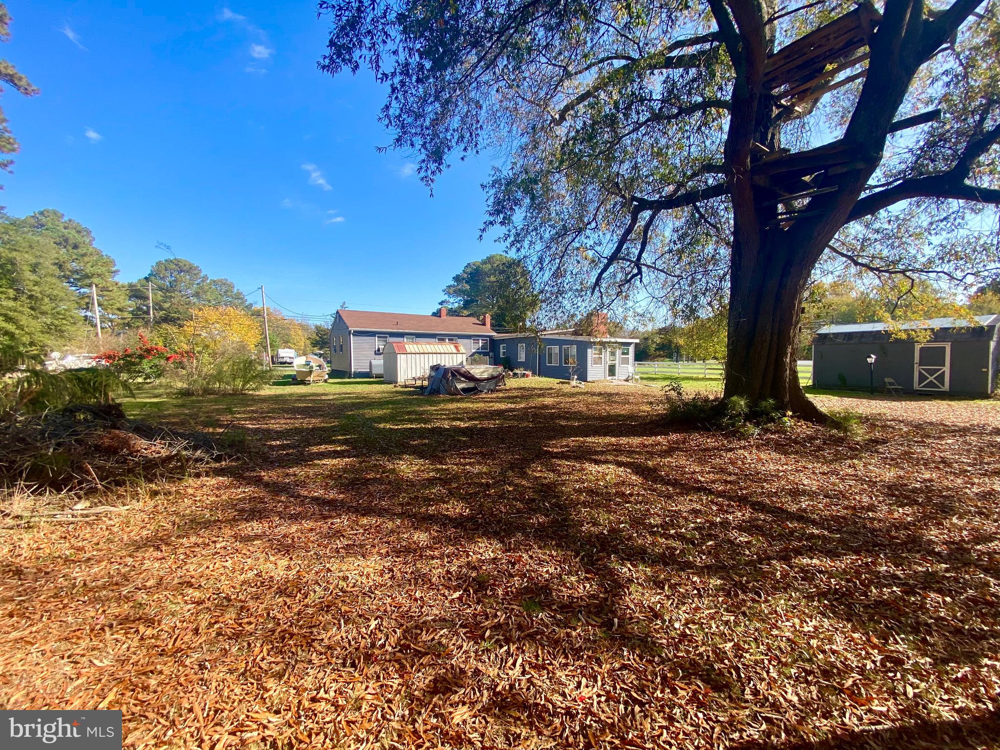 10704 Roland Parks Road Deal Island, MD 21821 - Photo 28 of 34 Backyard