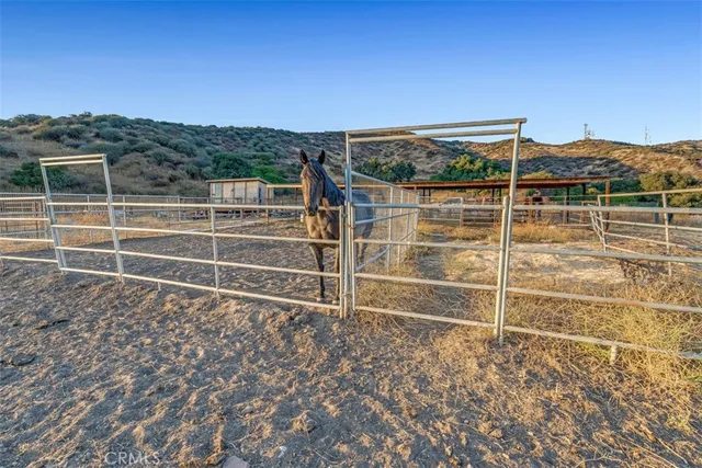 a view of a lake in middle of the forest