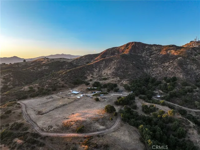 a view of a large tree in a field