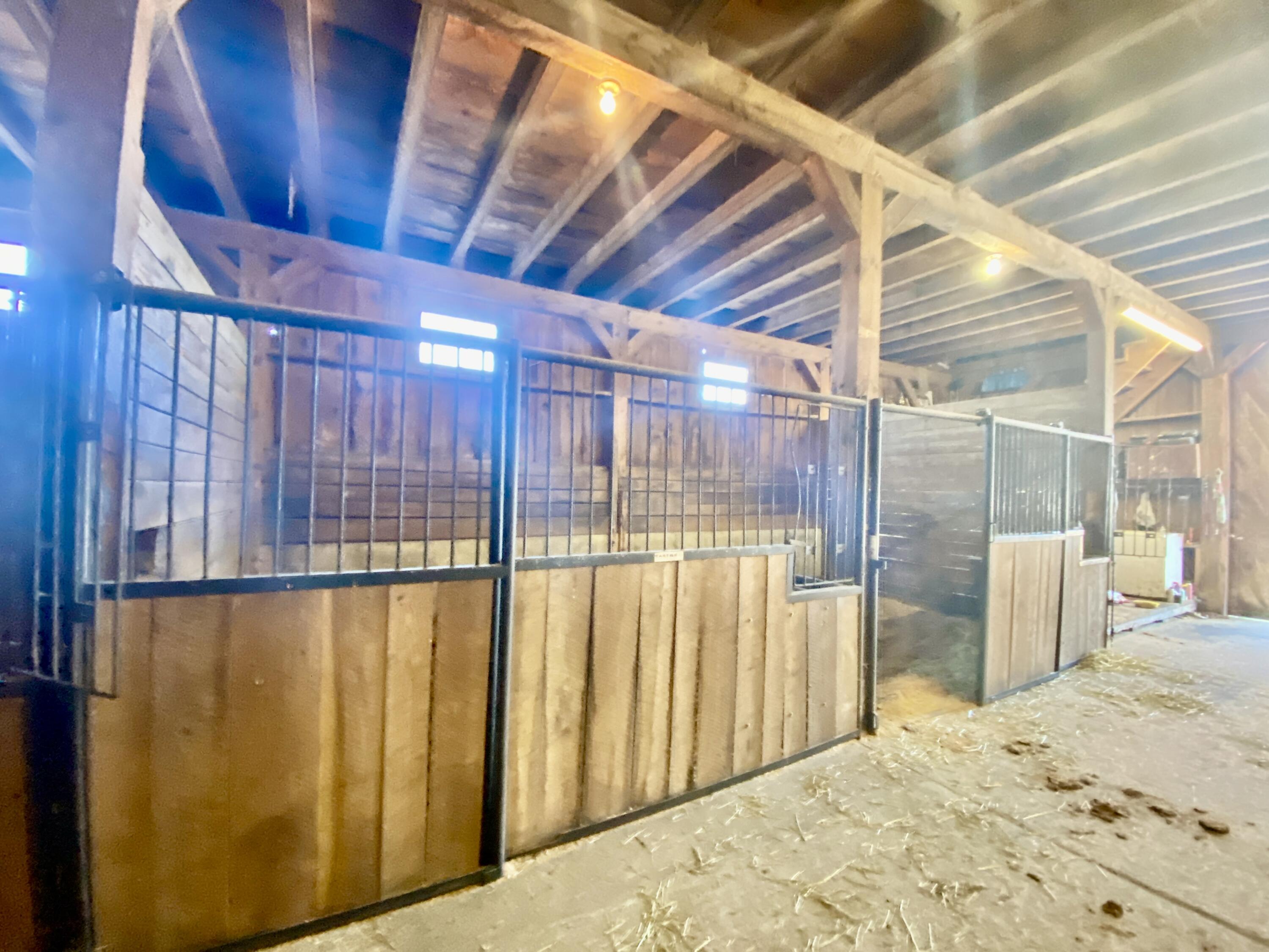 668 Hollis Road Hollis Center, ME 04042 - Photo 13 of 67 IMG_7028