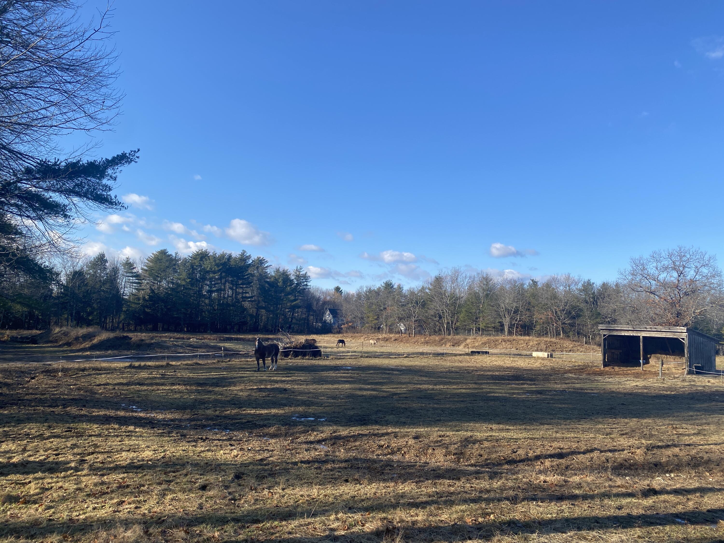 668 Hollis Road Hollis Center, ME 04042 - Photo 26 of 67 IMG_6972