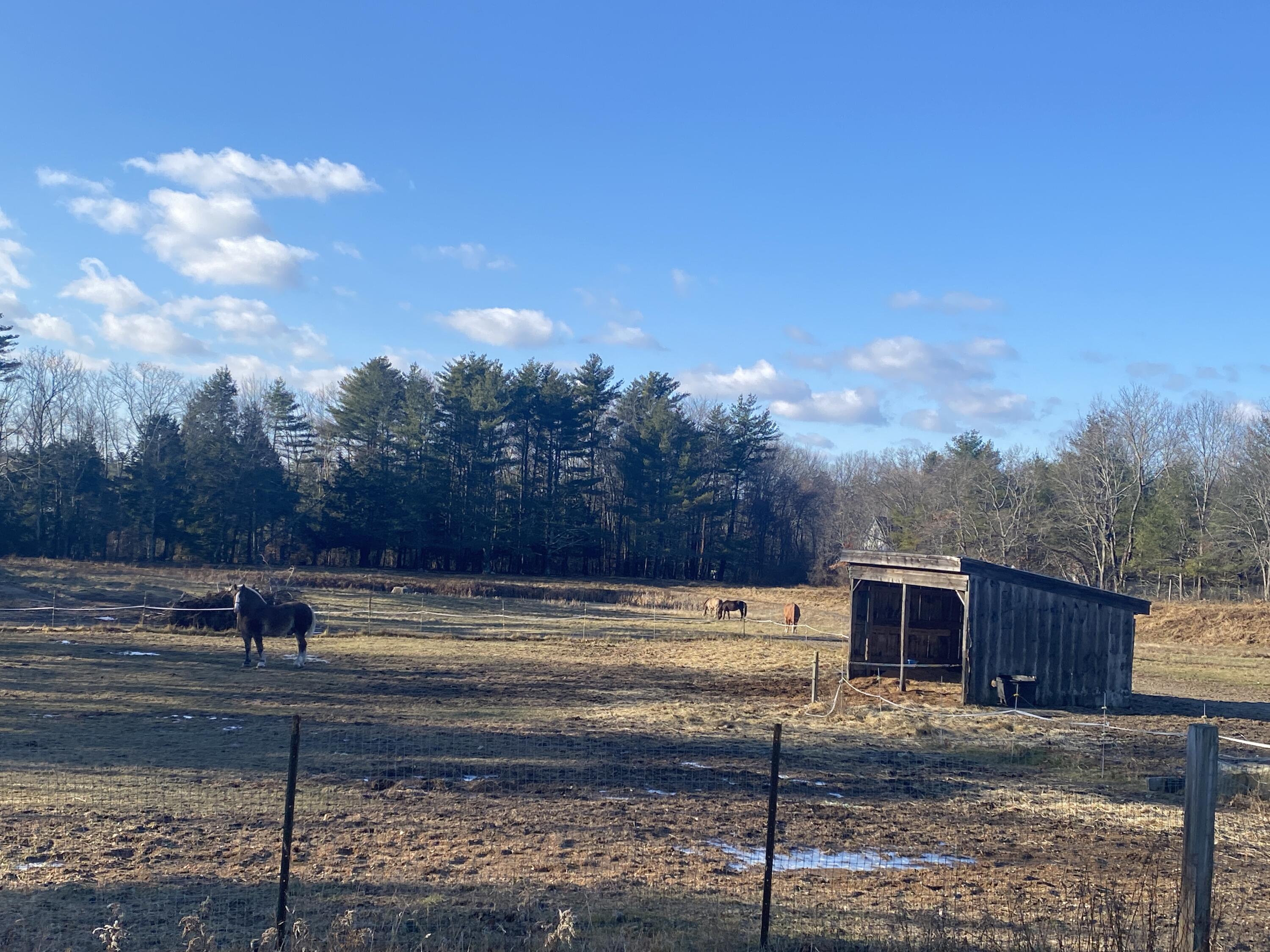 668 Hollis Road Hollis Center, ME 04042 - Photo 27 of 67 IMG_6969