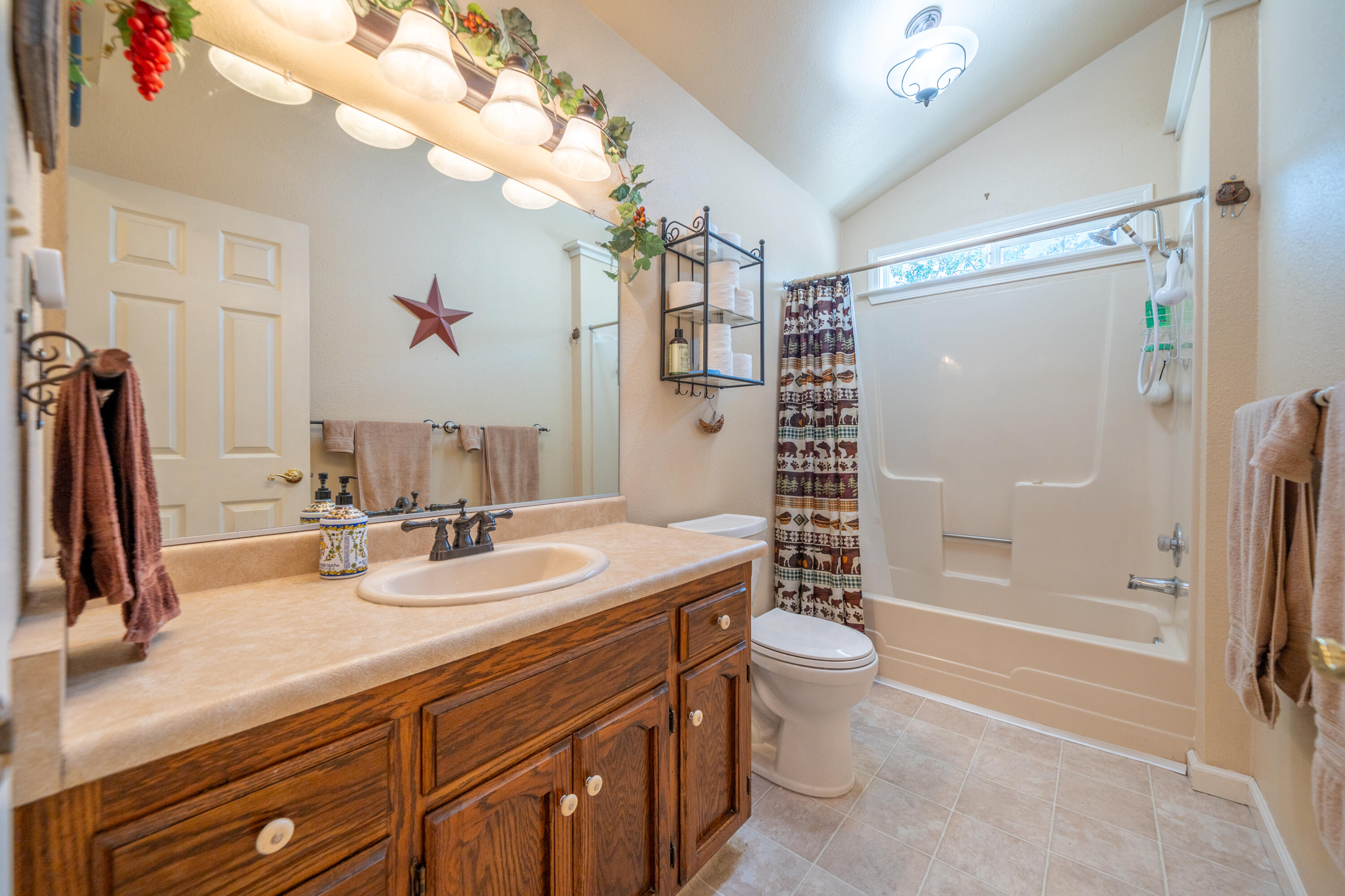 15842 Macleod Drive Redding, CA 96001 - Photo 22 of 36 a bathroom with a sink a toilet and shower