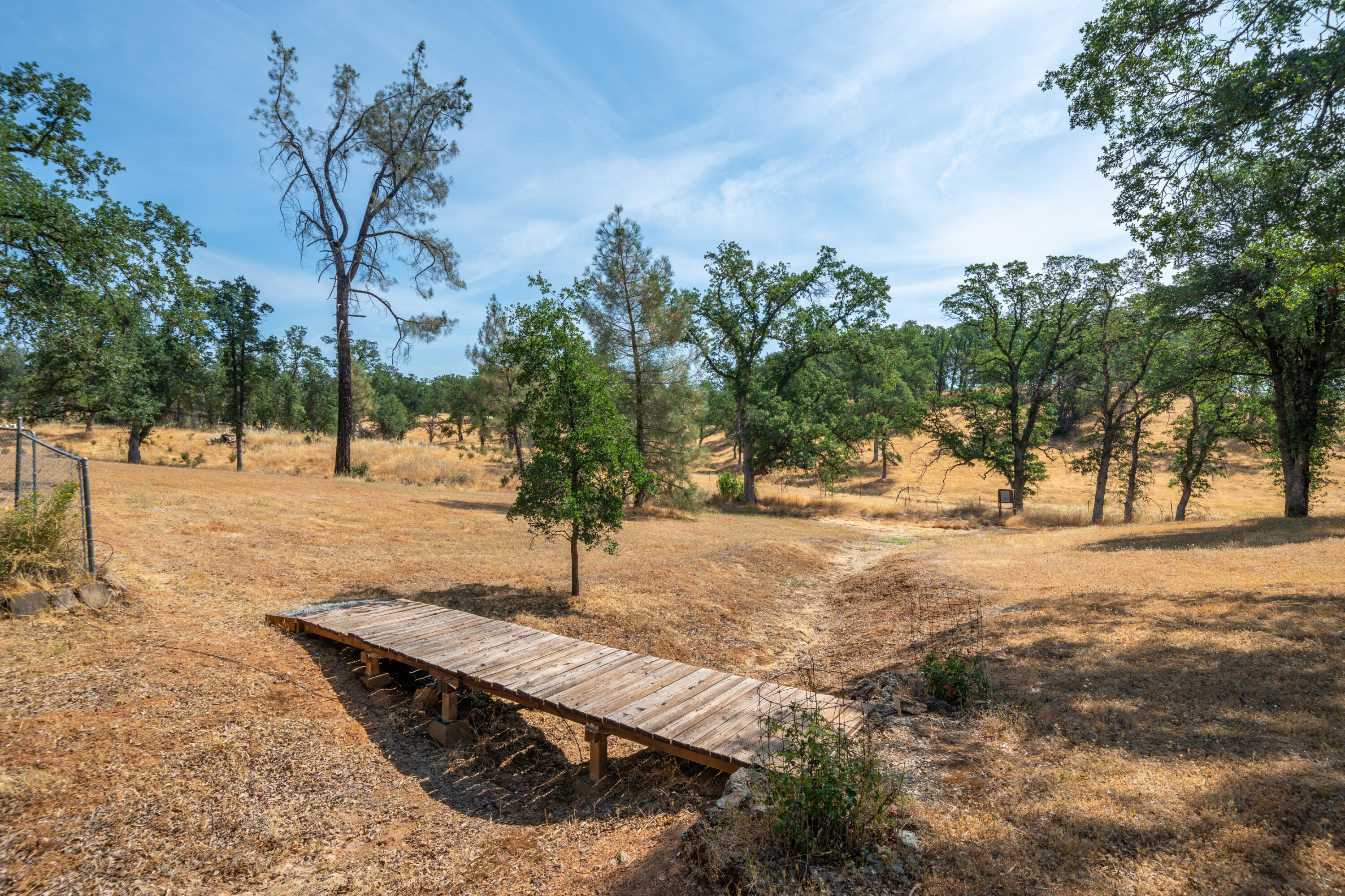 15842 Macleod Drive Redding, CA 96001 - Photo 28 of 36 a view of yard with tree