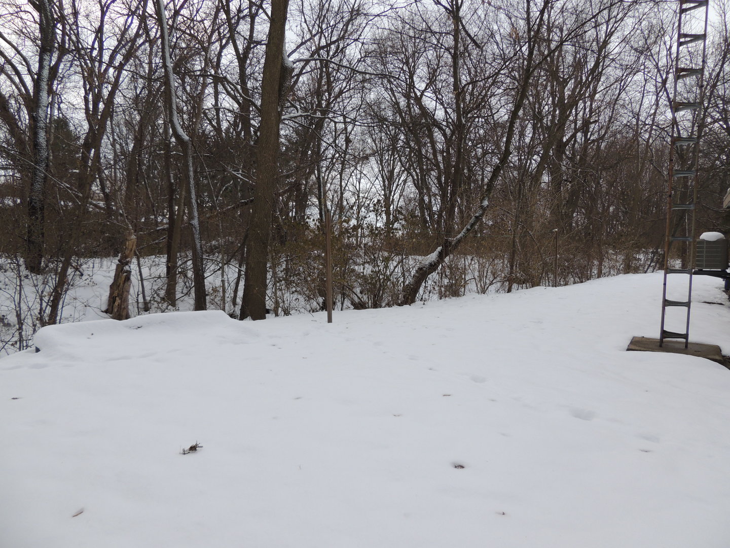 8750 Gurler Road DeKalb, IL 60115 - Photo 55 of 57