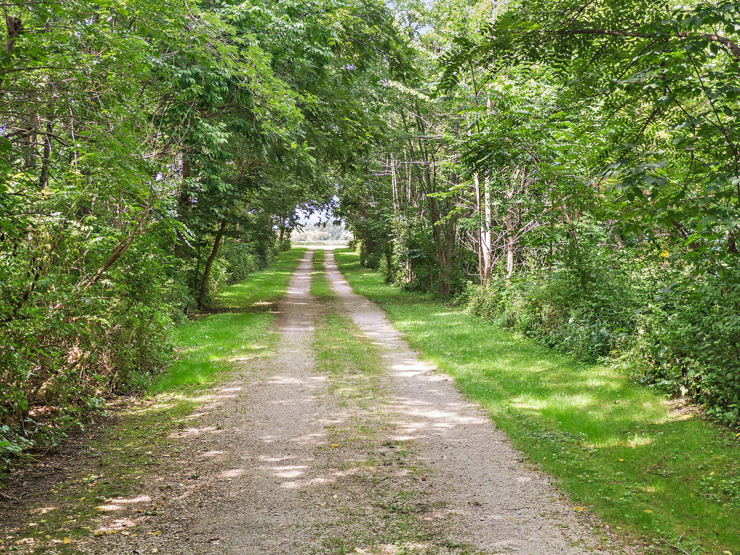 8750 Gurler Road DeKalb, IL 60115 - Photo 6 of 57