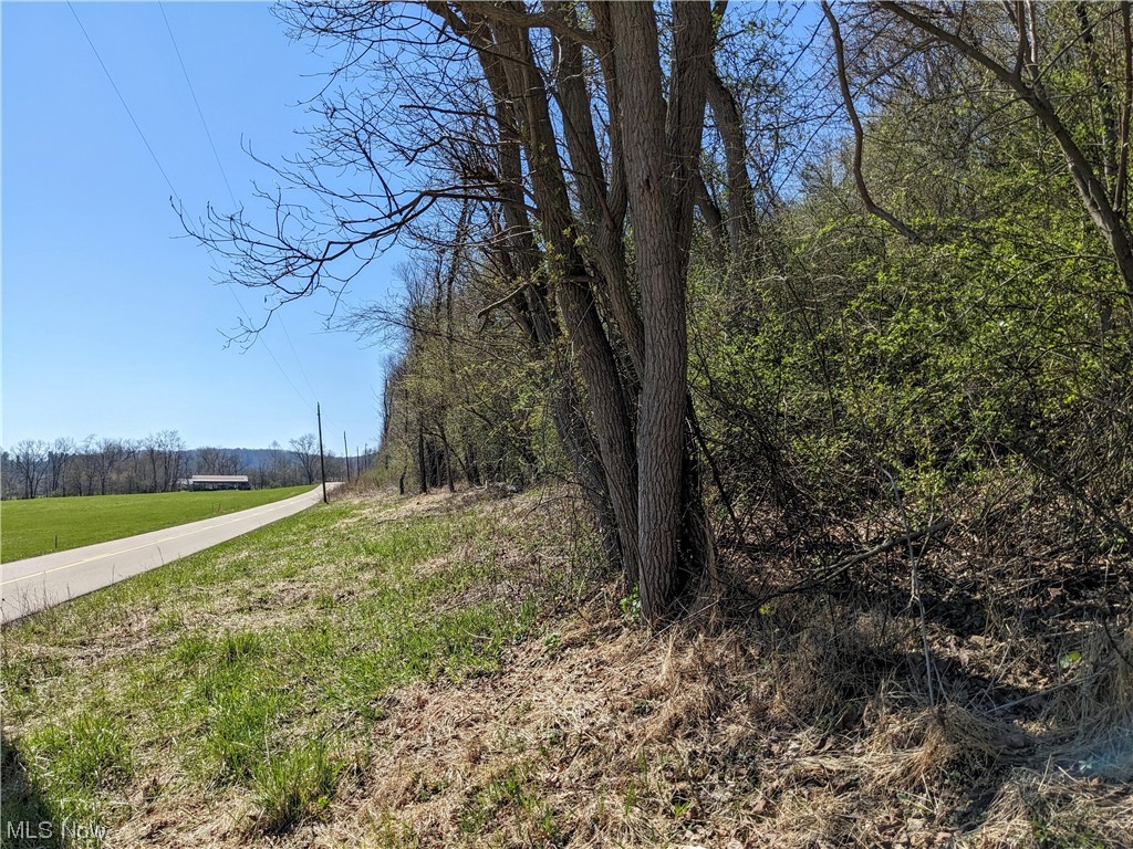 Wally Road Glenmont, OH 44628 - Photo 1 of 3