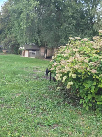 $210,000 | 20 Burton Street, Hartland, ME 04943