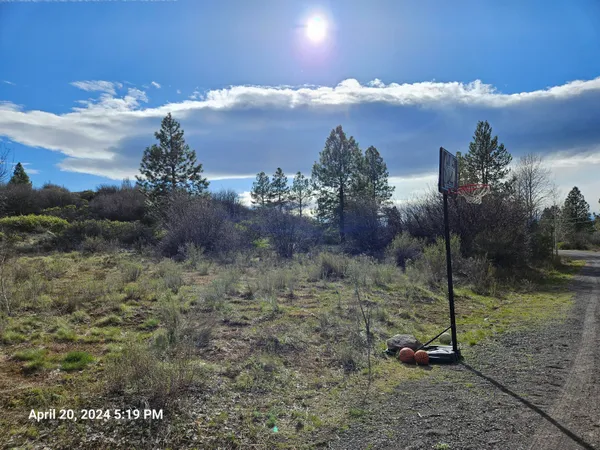 $12,500 | 0 Forest View Drive, Unit 8, Chiloquin, OR 97624