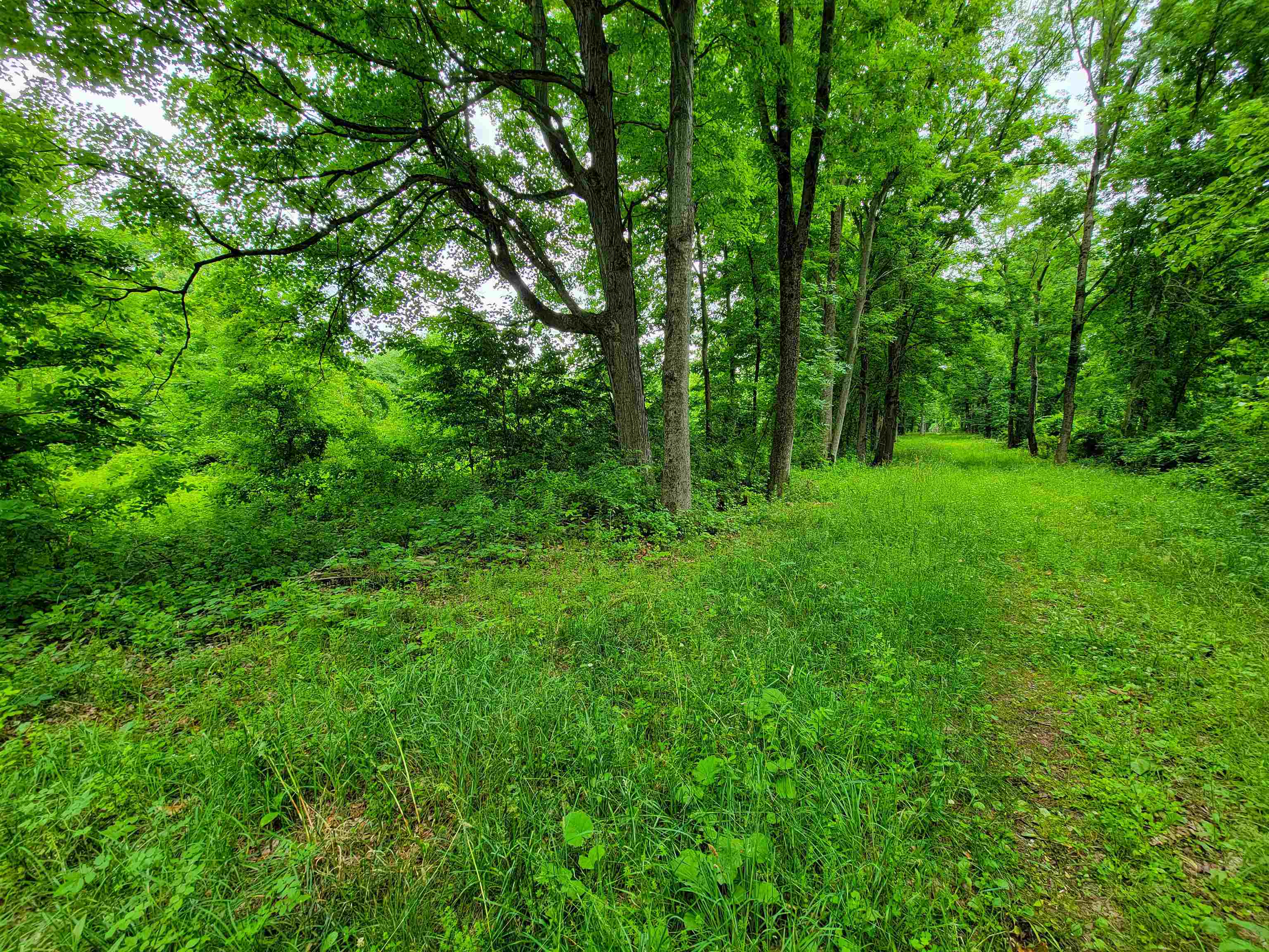 399 Bard Road Bennington, VT 05201 - Photo 25 of 60 Gallery Image 25