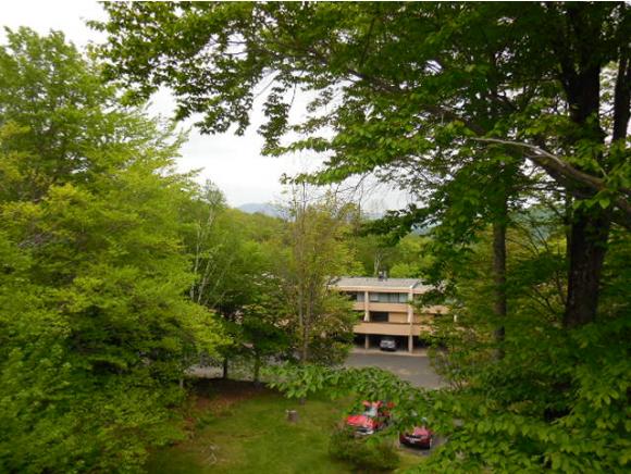 1275 Notchbrook Road, Unit 18AB Stowe, VT 05672 - Photo 10 of 10 Gallery Image 10