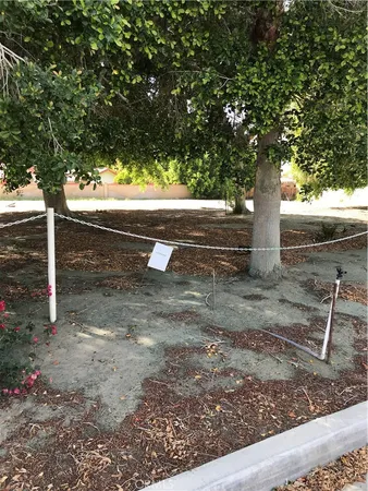 a view of a backyard with large trees