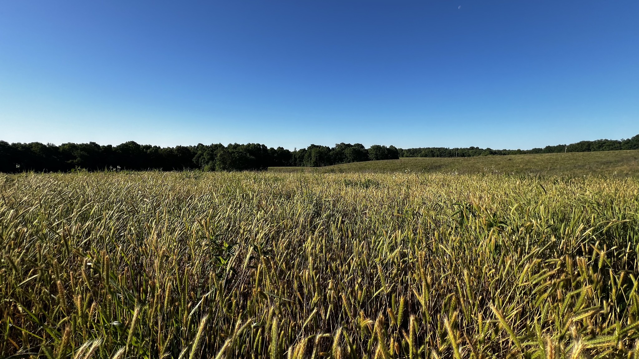 0 Seven 7 Mile Ridge Road Indian Mound, TN 37079 - Photo 9 of 27